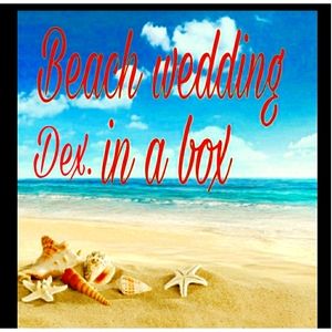 Beach wedding in a box